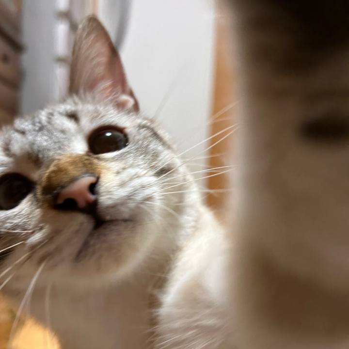 6cd3e9c6 9b4e 404d a16b f6e9ba1cdb39 1752238150194