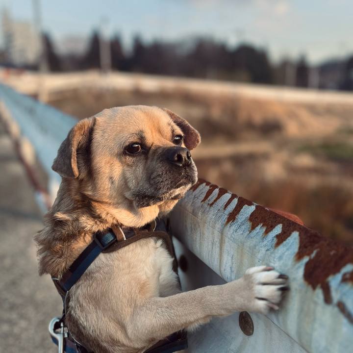 6cd3eeaf 65e4 411e a66a 4c2190ff416f 1771577879685