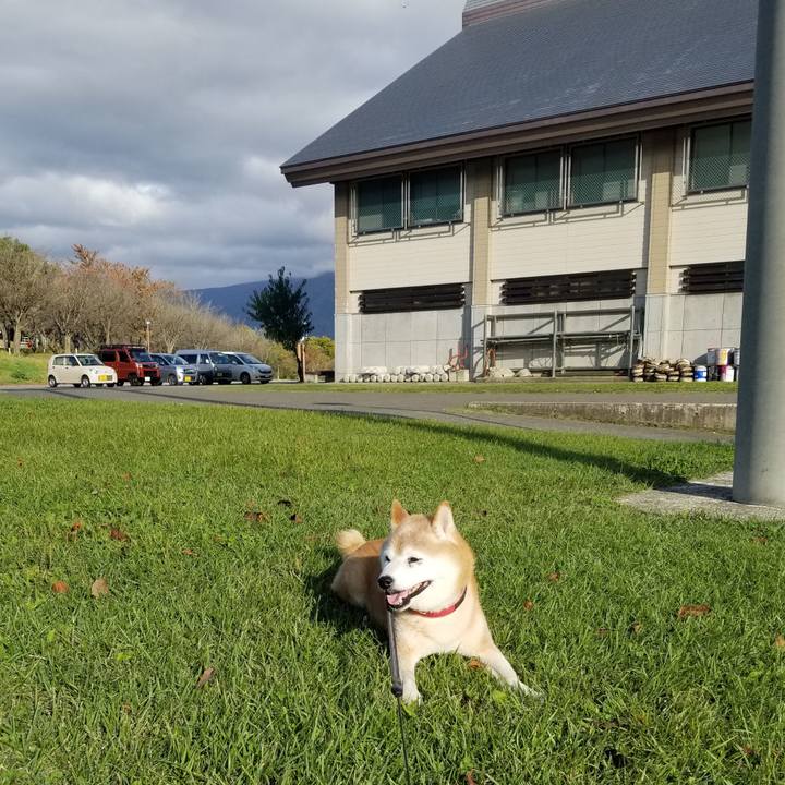 6cd47bfe 44a1 4dbf 8b4b 441dc03dddba 1729835151343