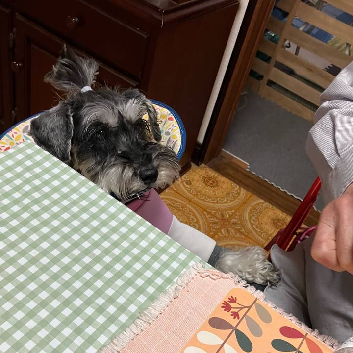 6cd4a451 dd2d 419e b251 216e7e49309e 1713574744271