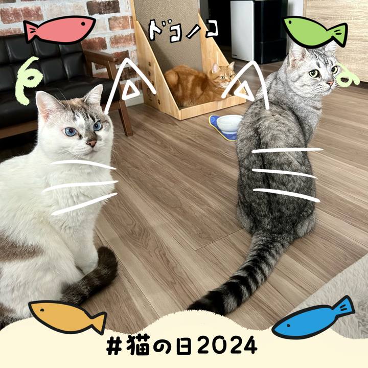 6cd4bd81 b793 4230 a813 60341abef5ef 1708581305427