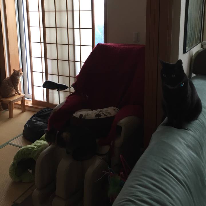 6cd5305d 4175 4084 9759 10d241ec2909 1519984680867