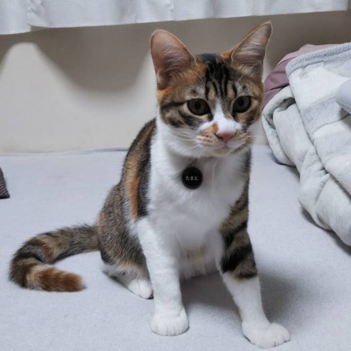 6cd54ee0 edea 4b48 ba26 5d640bbb730d 1639517961948