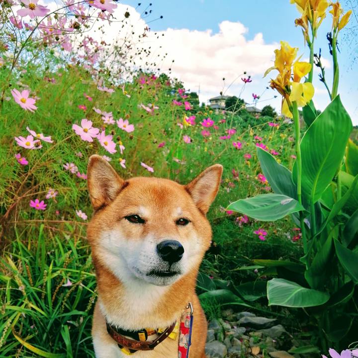 6cd5837e 4d20 4e2c a460 8f64906bfd39 1603261206515