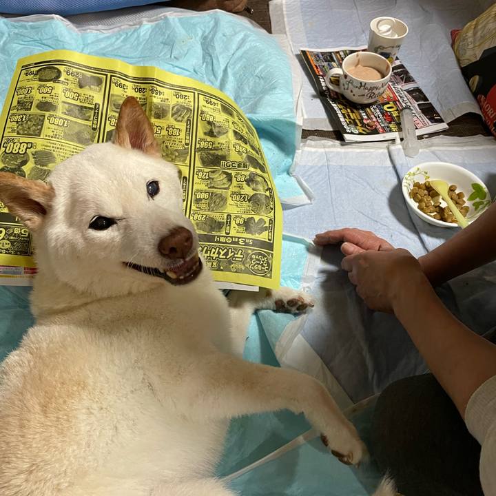 6cd59100 2dae 4ed0 9298 0a83566a5811 1651586176615