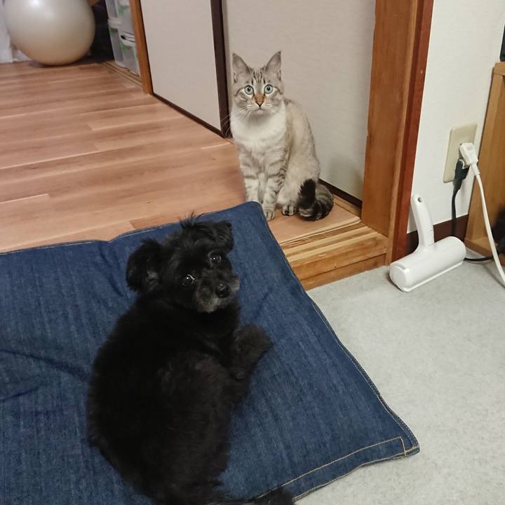 6cd59d36 a4c6 4a2b a9e8 ebaf1851eff3 1535363661279