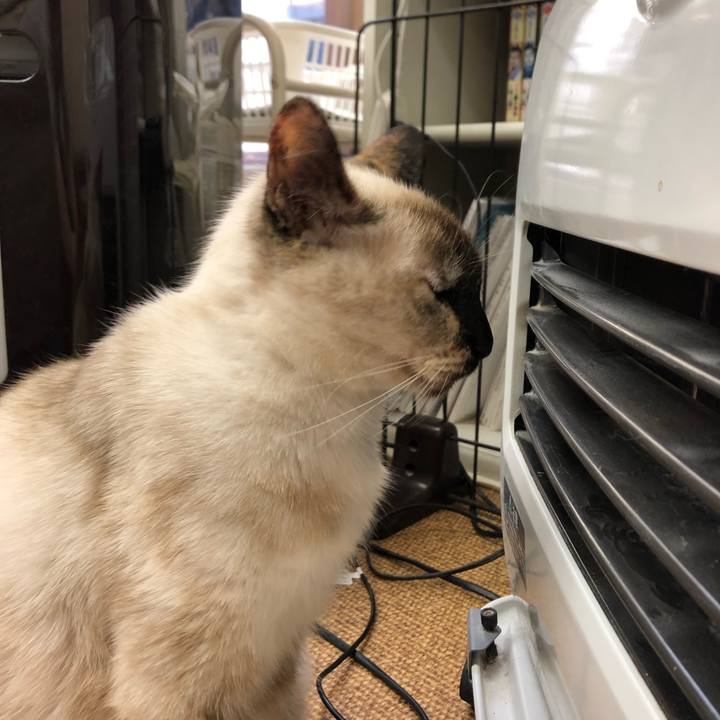 6cd637e3 0606 49f7 b67f d6670c019ae8 1645490479551