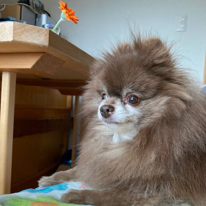 6cd63b38 2560 4651 9a8b 3763718523c3 1713731949529