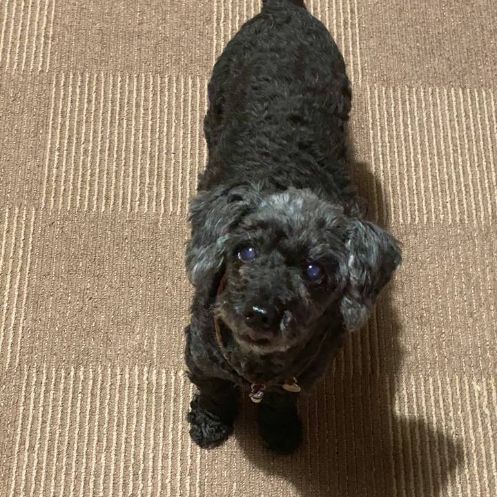 6cd63e4c 7a21 45c1 aeb2 b5ec62a92807 1585842313327