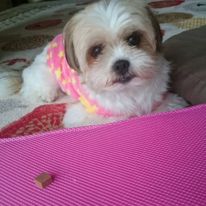 6cd64817 9531 4989 b46a 09271ab821df 1508201596617