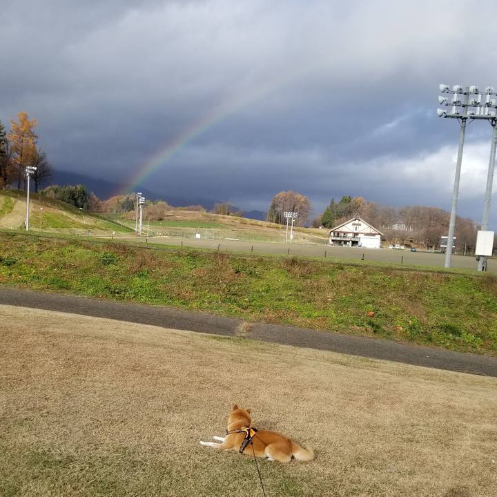 6cd65e6e 1253 4ef5 abf2 3c4f0e2048ca 1606108052725