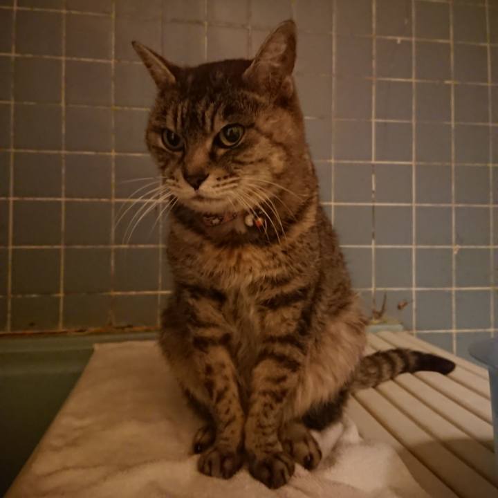 6cd65f18 68e8 44bf 9373 b4bbc5ebe34d 1580203421941