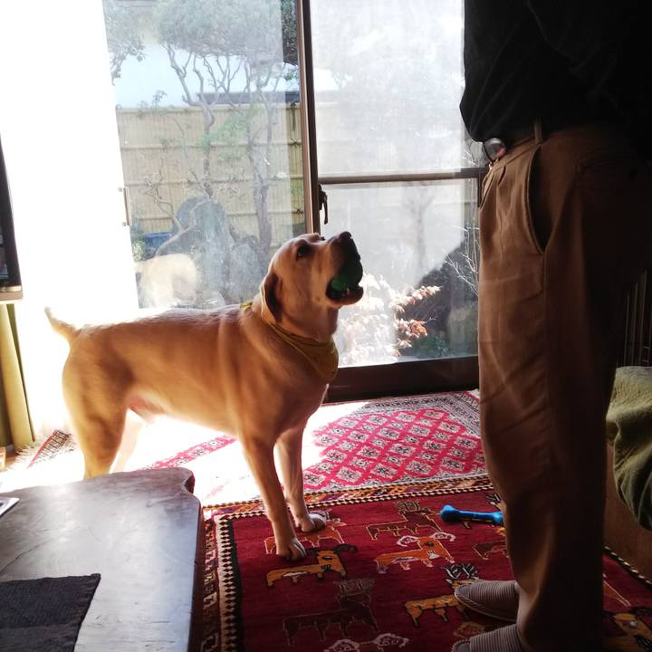 6cd681bb 004a 4184 9efe c36849382c76 1547352865817