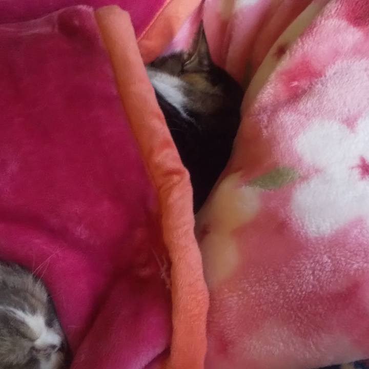 6cd690fe 363f 4d06 9ce5 2f1b5eb60735 1747197309889