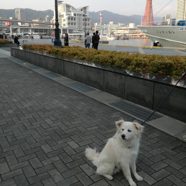 6cd69ed1 f886 4494 99bd 0bbcac3a87bb 1520908877072