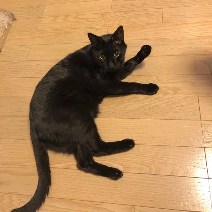 6cd6cd5f 78c0 4107 8f9e 1163211a1096 1552654152939