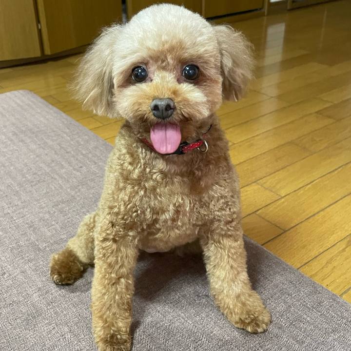 6cd6d638 c91b 4219 bcd0 307ab1b8beb0 1689395899005