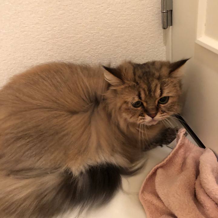 6cd6f8c4 1b41 4a9f 9560 a9bef8e63e01 1537361307462