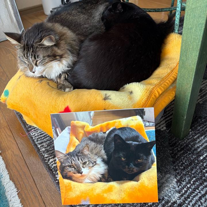 6cd78f46 8ad5 46f1 92c4 f79bfc927eb9 1768193423900