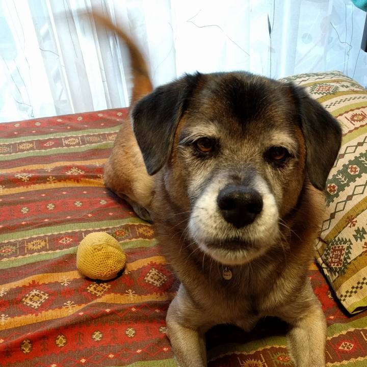 6cd812e4 6bf2 479c 8e50 f47b9280c317 1510729146910