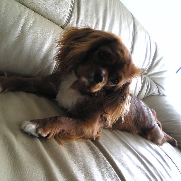 6cd81c60 4469 4f78 8506 12ae2d9dbbb7 1512736668823