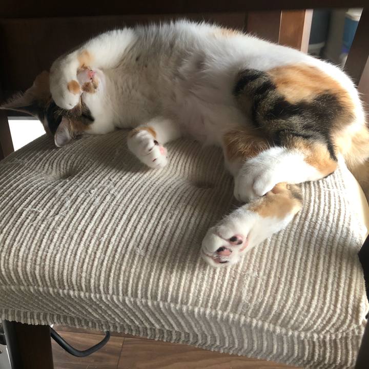 6cd81ebc 3c84 4912 987d 3c1f28b09ec4 1591242740343