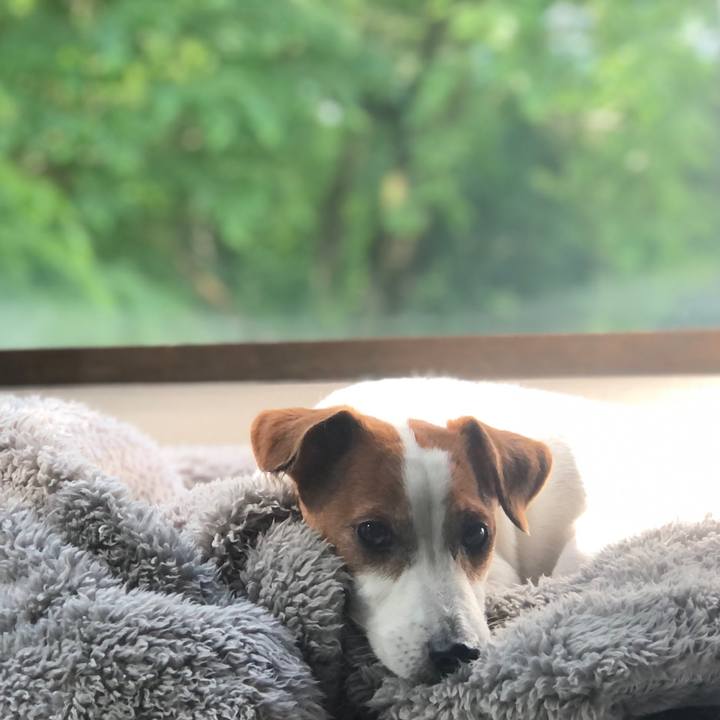 6cd828b4 c2a0 49df 9c2e d23005a1684d 1685322359145