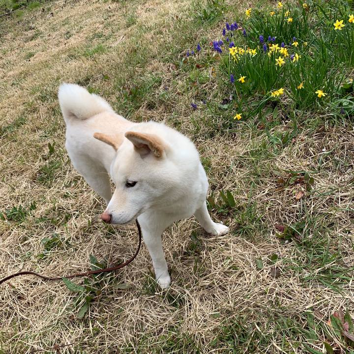 6cd8484a 0fc5 4759 91d9 47701584a65e 1553406027532