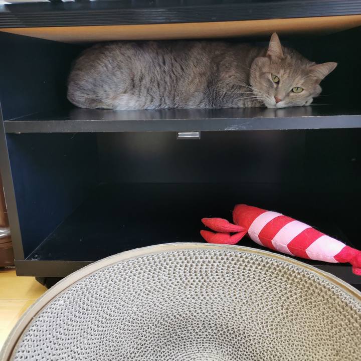 6cd84a18 712b 4c25 b20a cb335b3145c4 1631160690669