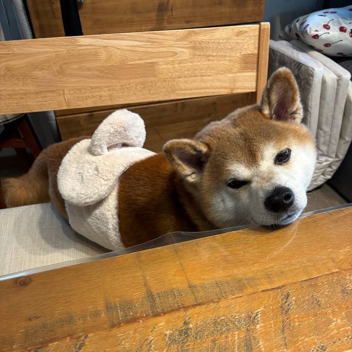 6cd8e358 3f62 4658 ac66 2442f5999f2d 1762567649035