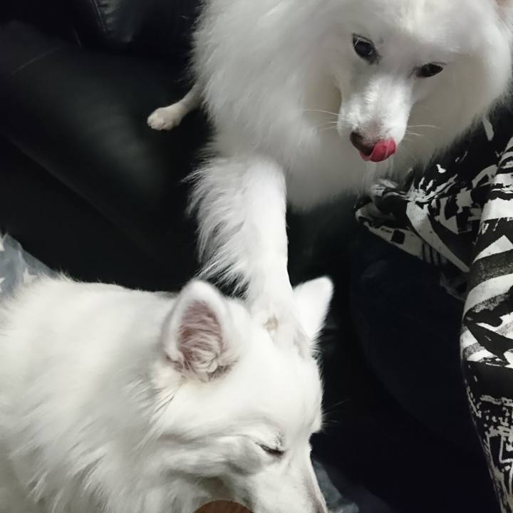 6cd8f5c2 89be 4c2b 98cd 6a16dd177eb0 1587300113337