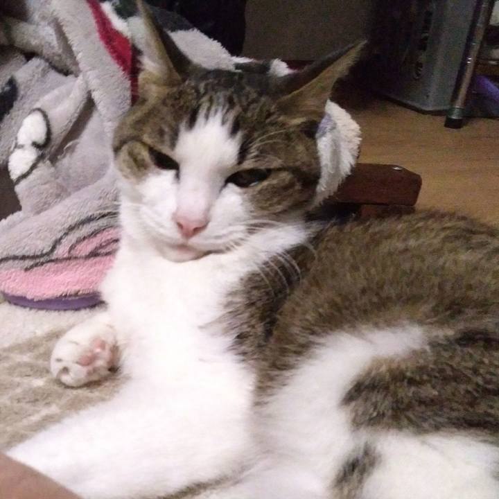 6cd9136a c102 4718 b175 7ac4d778b8d5 1518353087729