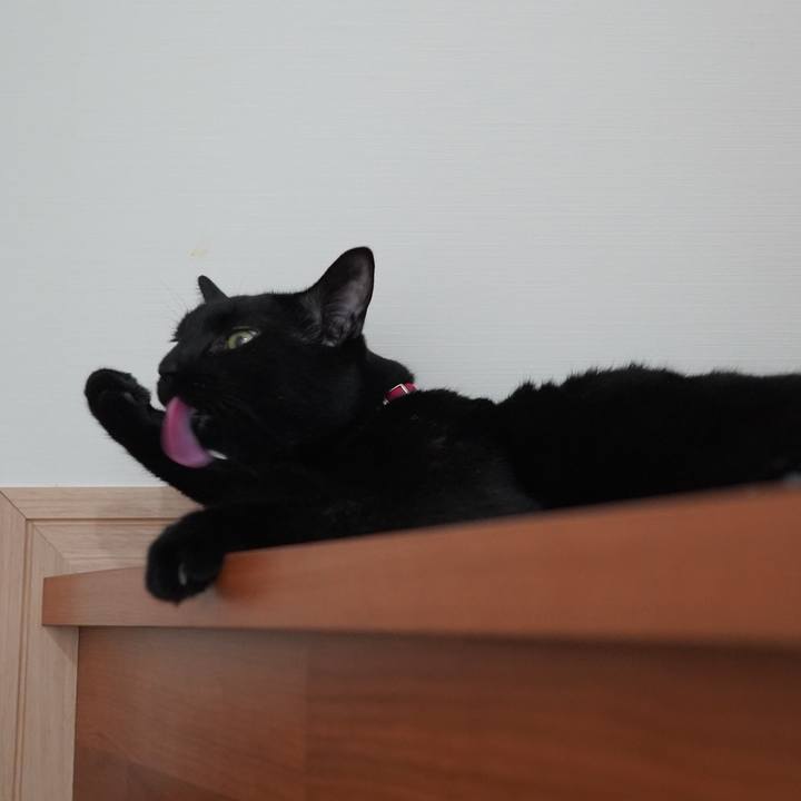 6cd92158 a40c 492a 87b8 bfd605eccbb0 1597985765786