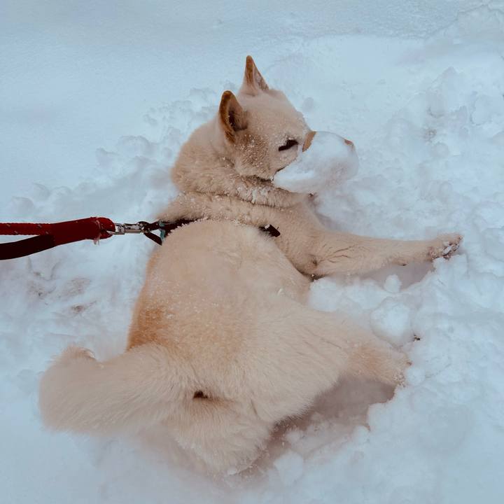 6cd92bdf ba7e 4e49 befa 5d03c5ad8374 1742164520139