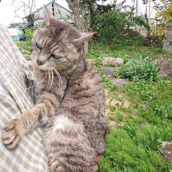 6cd93081 cf8e 4e63 8661 680fbca70ce2 1588568316216