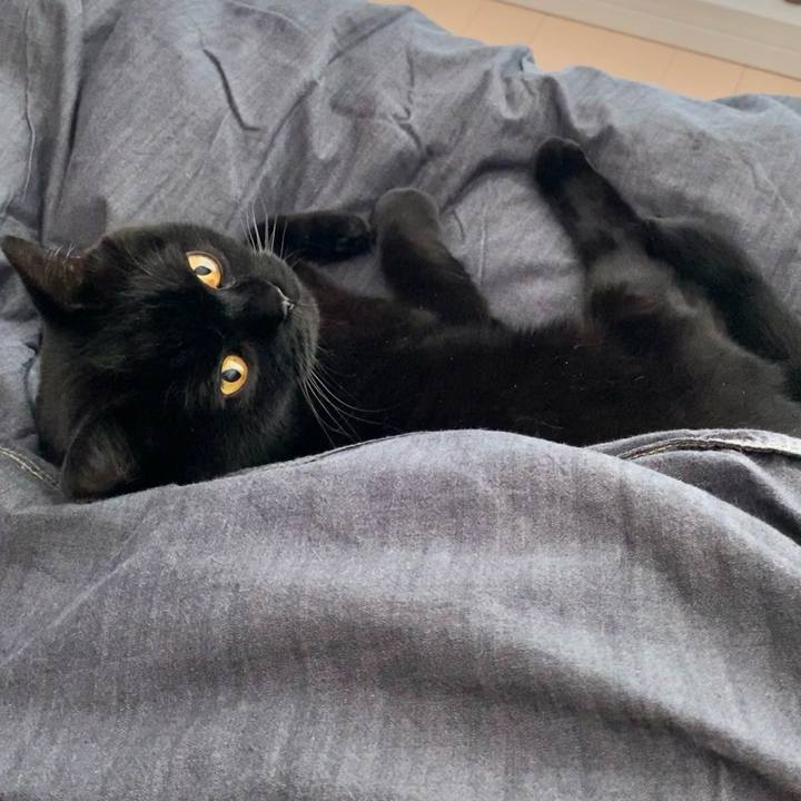 6cd935c8 085b 4895 bd34 e4c2af5c3ef8 1666390123260