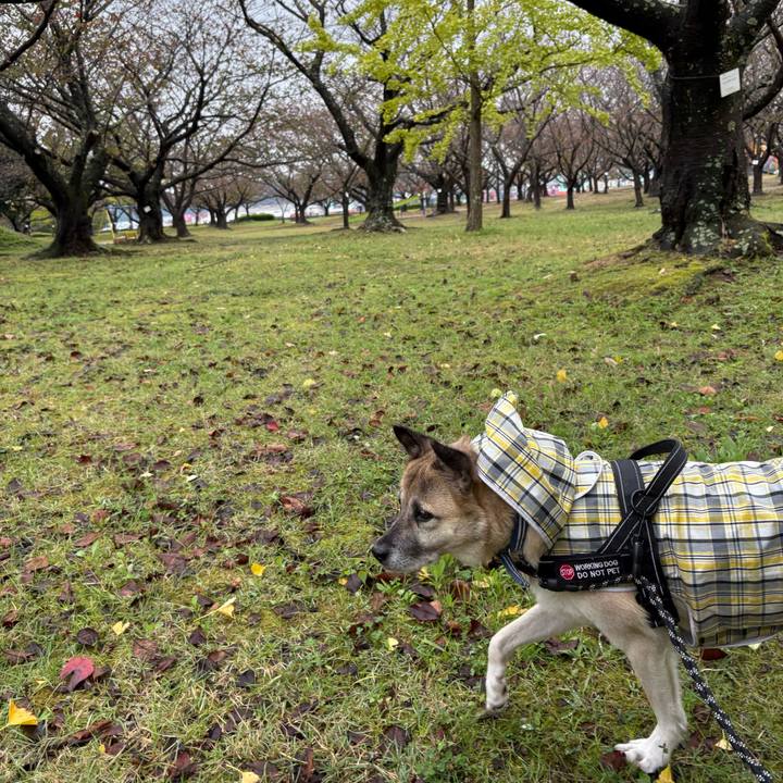 6cd949c6 358b 4208 87aa eeb4b2493c62 1762690072320