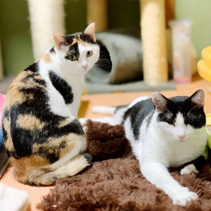 6cd96f66 5388 4542 aaa5 bacaeaaf8fc2 1551665674628