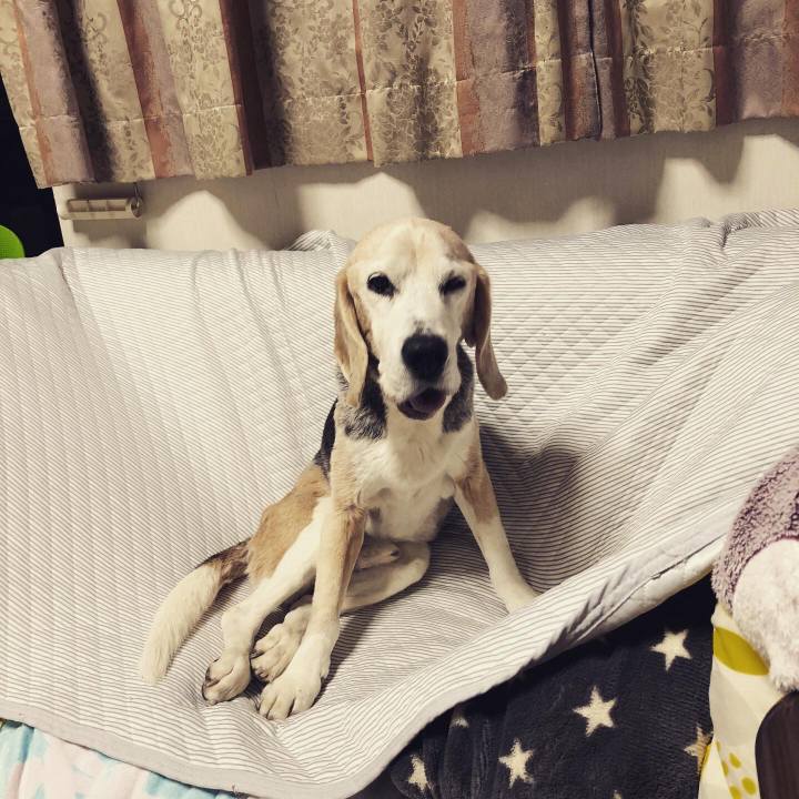 6cd97d7a 1f16 4a2a b99e 62fc8043a9a6 1615849993017