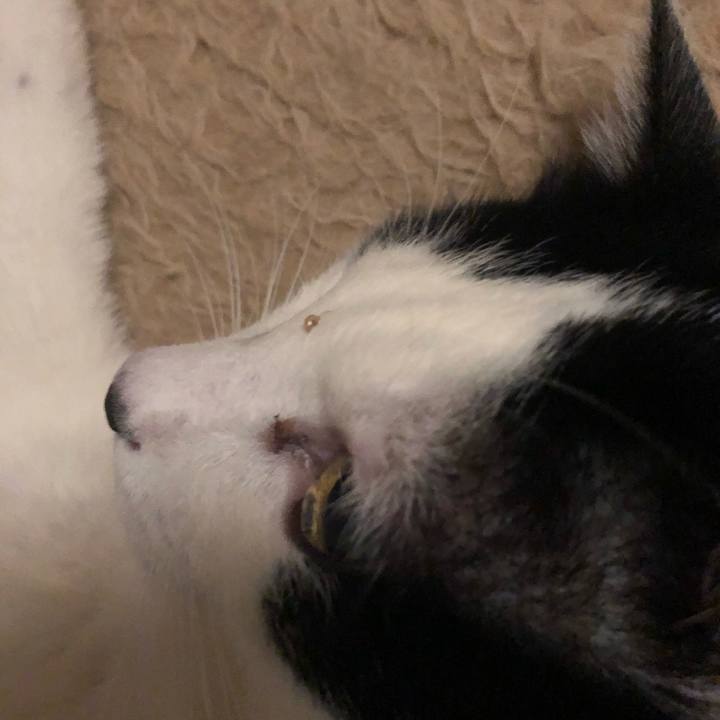 6cd97e66 8331 442f 9903 eb49e87c2287 1556112018045