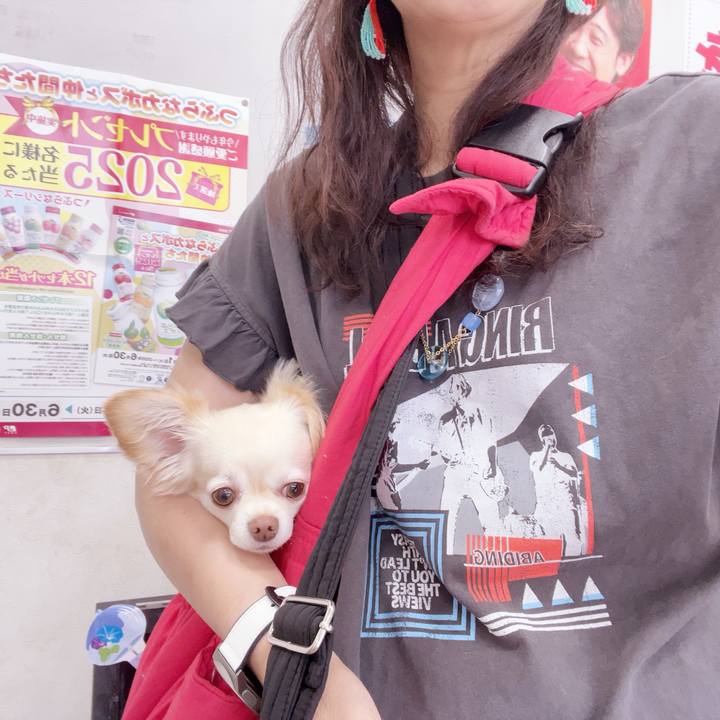 6cd9e552 441f 4a1c 9c31 966c1f48a4de 1749438794985