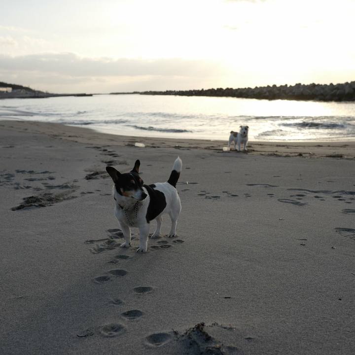 6cda4942 8e53 4462 8b6b 739766331df7 1520744856934