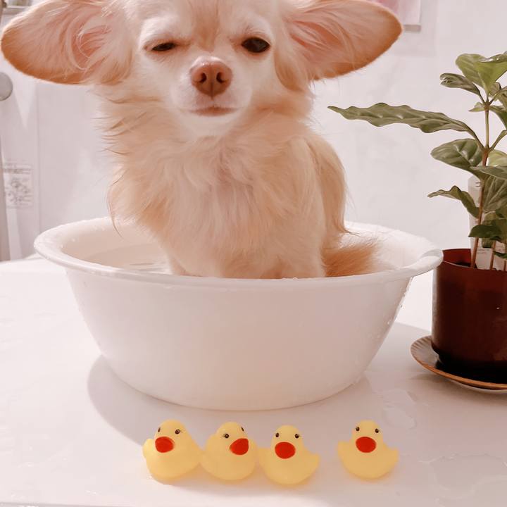 6cda8588 1a7b 41bb b2c2 68c347d9351a 1667045351582