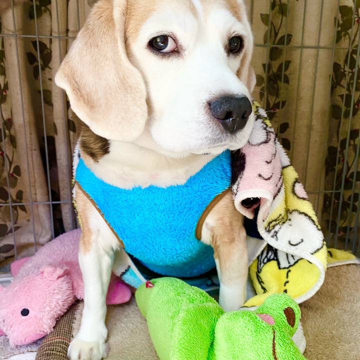 6cdabfda 6cab 47db 87b9 eccc6b4d7028 1610509678091