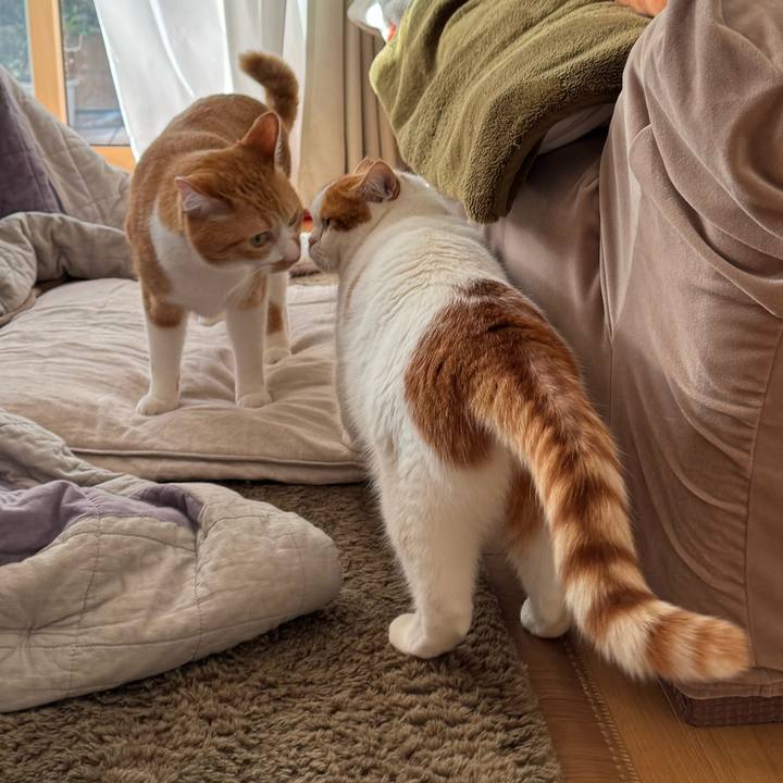 6cdac0d7 1c33 44af b358 3379f5ed294f 1769480660688