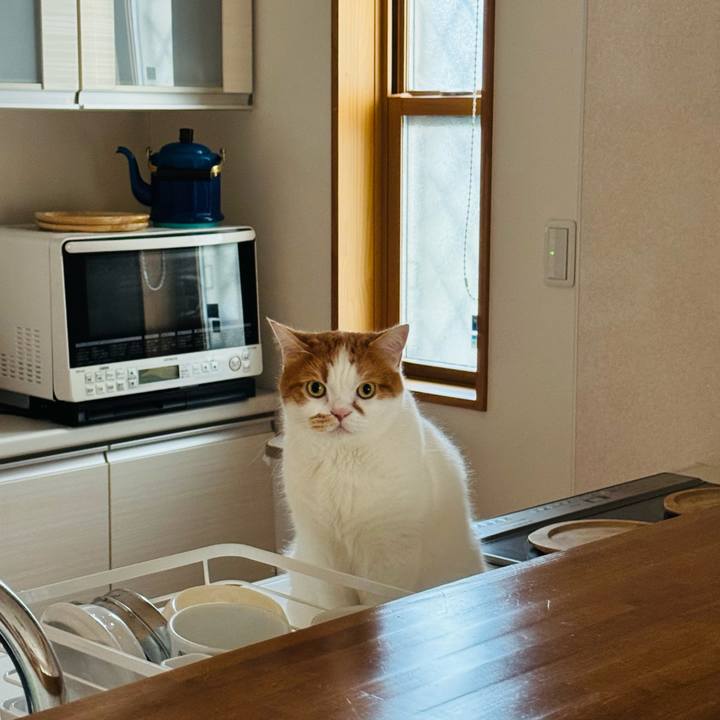 6cdac11f 4334 4cff 8cb6 61f2f61c3181 1764641725803