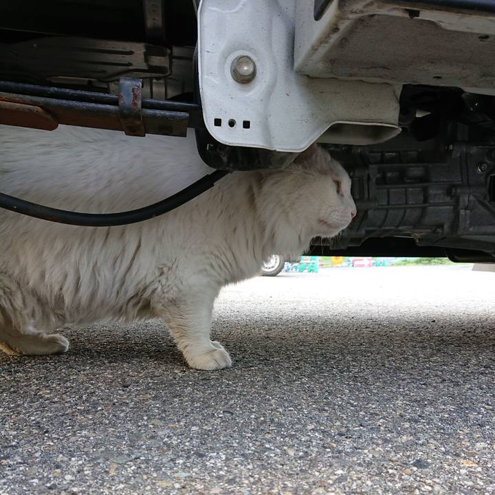 6cdad30f 16a0 4849 8f02 00dcd25685b8 1561501737222