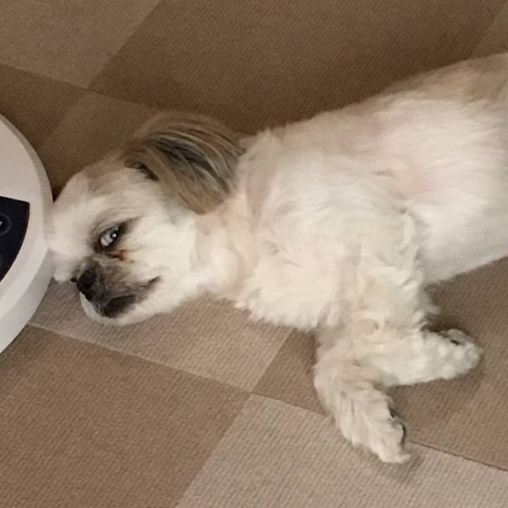 6cdaeb15 3153 4b62 9ad6 6e9fe227d51b 1532996584088