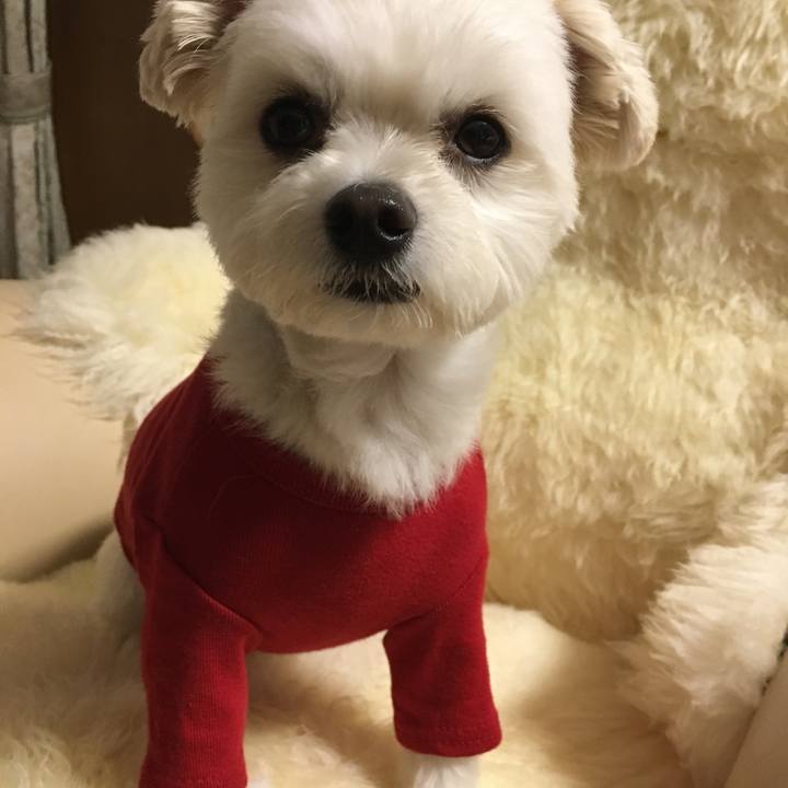 6cdaef05 308a 4cfb 8700 945f94e60991 1509017542935