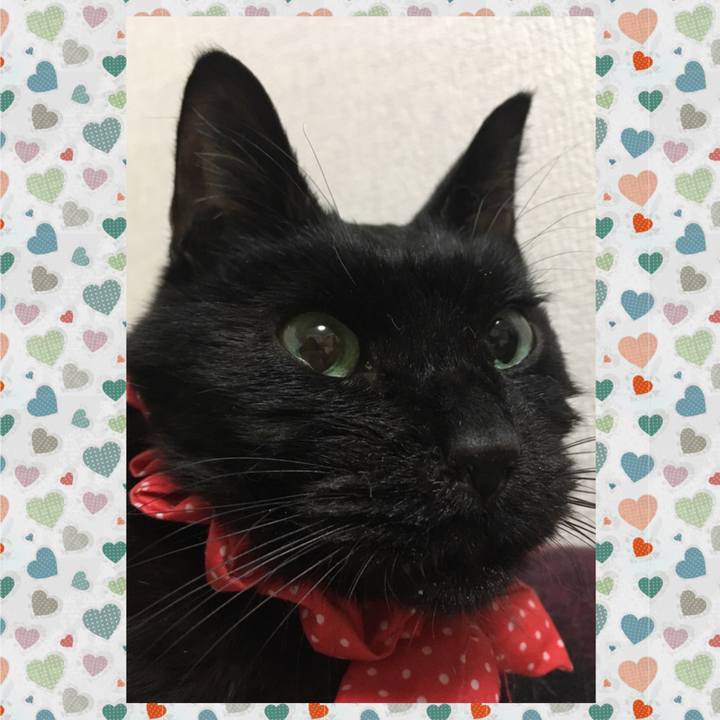 6cdb09ef 7829 4e83 9640 bcb0f44fc7fc 1562943909398